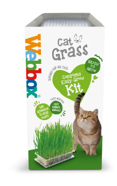 Webbox Cat Grass