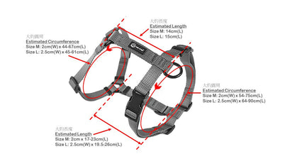 Harness_Size Measurement