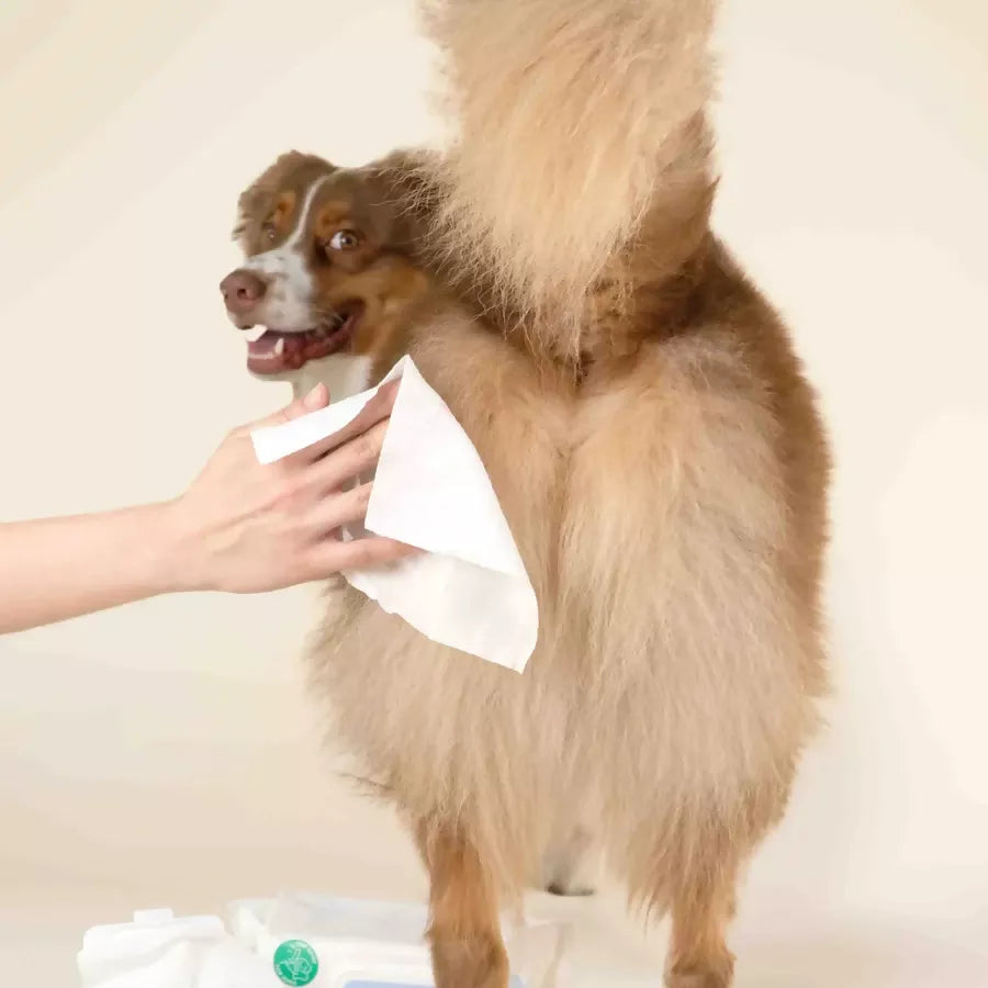 Gentle Cleansing Wet Wipes for Dogs & Cats - Sensitive Skin