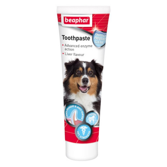 New Formula Toothpaste