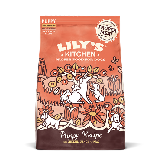 Lily's Kitchen - Chicken & Salmon Dry Food for Puppies (2.5kg)
