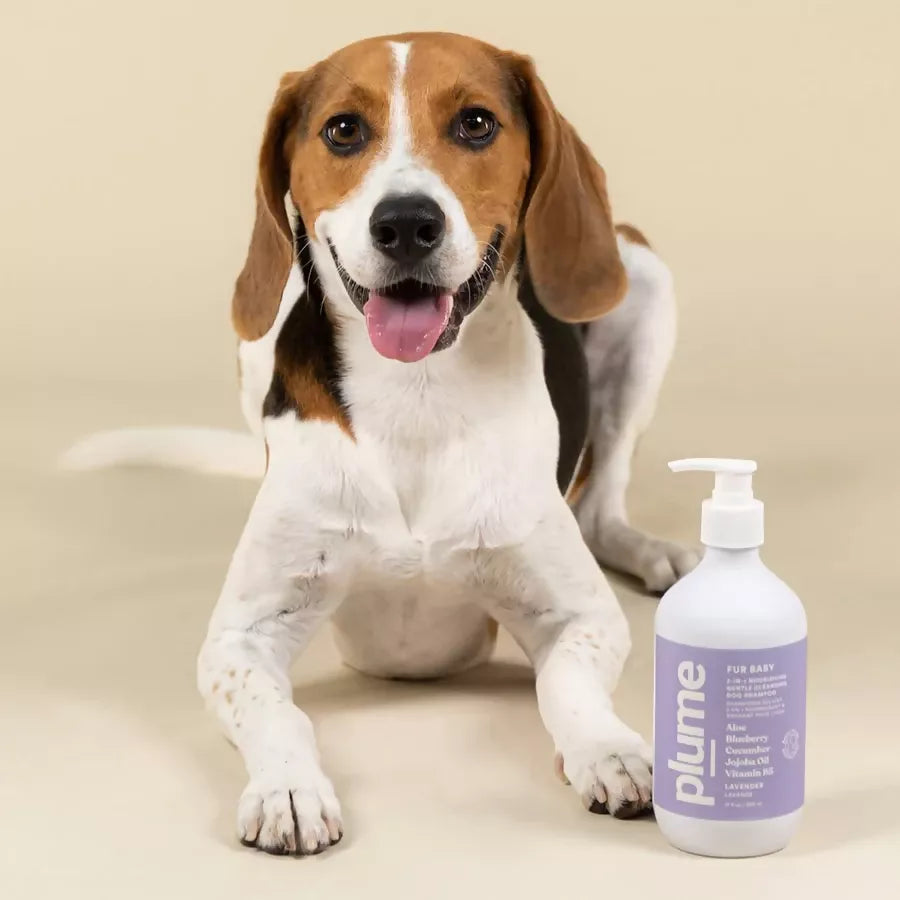 Fur Baby Natural, Soothing & Nourishing Pet Shampoo for Sensitive Skin- Lavender