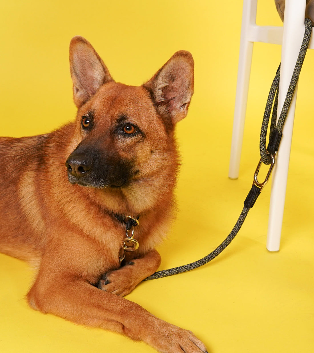 Leisure Parking Leash