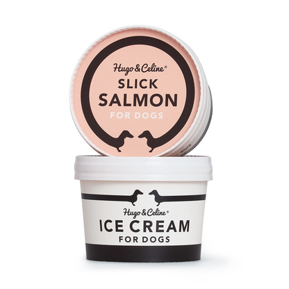 Dog Ice Cream - Slick Salmon