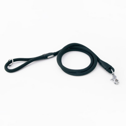 Mod Essential Leash