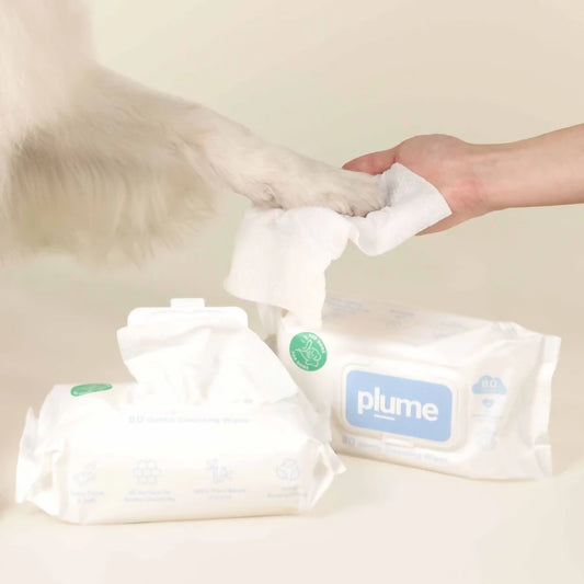 Gentle Cleansing Wet Wipes for Dogs & Cats - Sensitive Skin Approved