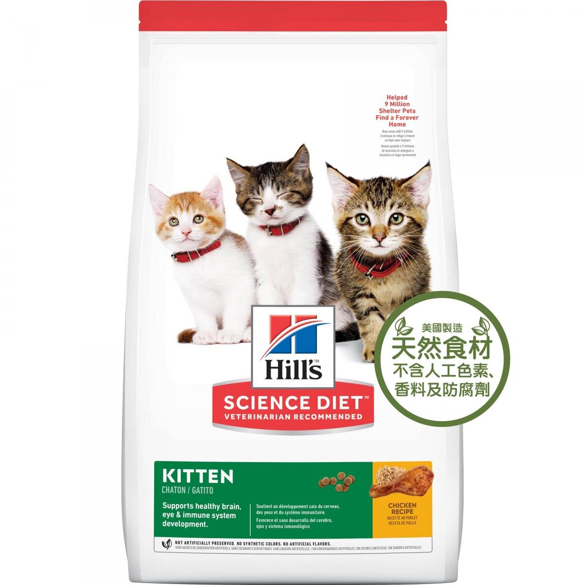 Hill's Kitten: Kitten