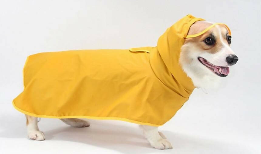 Doggybench - Colorful Raincoat