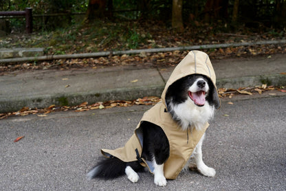 LNPB - Trench Raincoat (Large Dog)