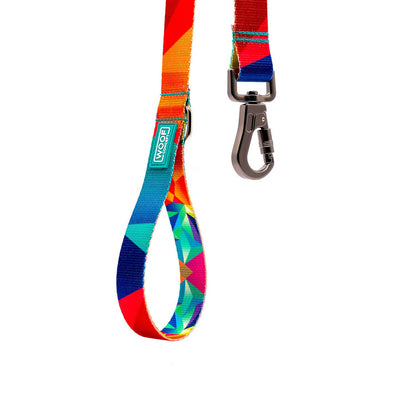 Woof Concept - Polygon2 Dog Leash