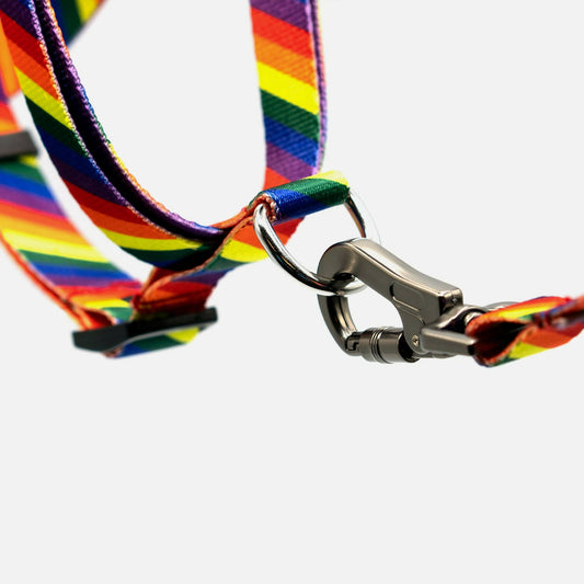 Woof Concept - Pride Dog Harness