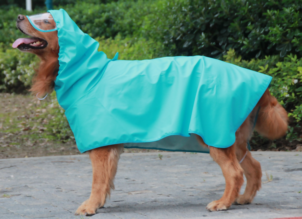 Doggybench - Colorful Raincoat